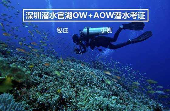中国象棋速测吧