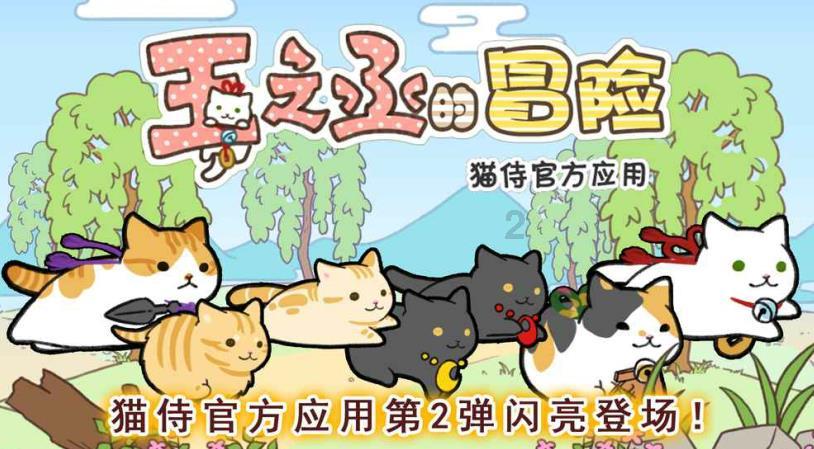泰安旅游经济开发区张灯结彩迎新春